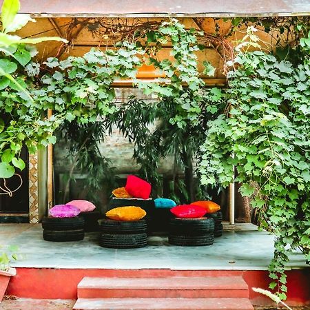 Farmstay - Capsule Den New Delhi Ngoại thất bức ảnh