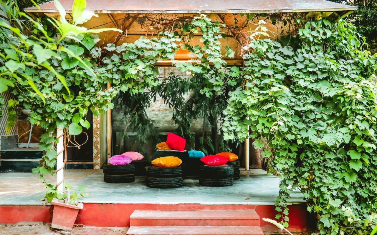 Farmstay - Capsule Den New Delhi Ngoại thất bức ảnh